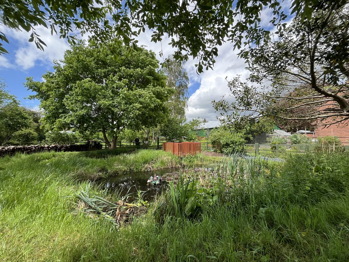 OwenDerbyshire's tweet image. Spent a properly inspiring morning with the team from @StPetersComm hearing about their work.

These local green spaces mean so much to so many people, and they make such an enormous difference to people’s health and wellbeing.

Diolch Rachel for showing me around, a diolch…