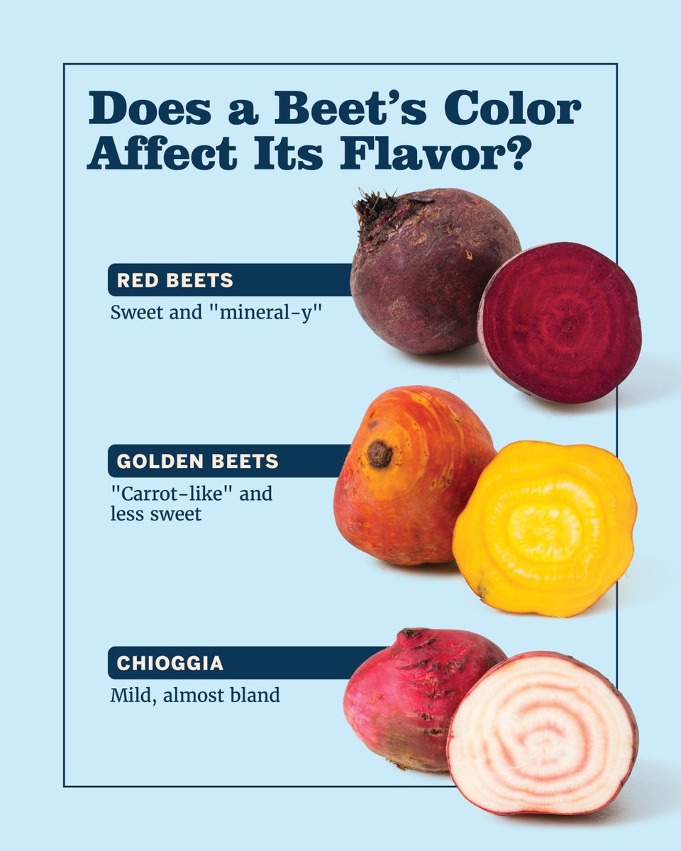 While many supermarkets offer only red beets, there are many varieties of beets in different colors. We tried three of the most common. Get our recipe for Coriander Salmon with Beets, Oranges, and Avocados: bit.ly/3Ub80zl