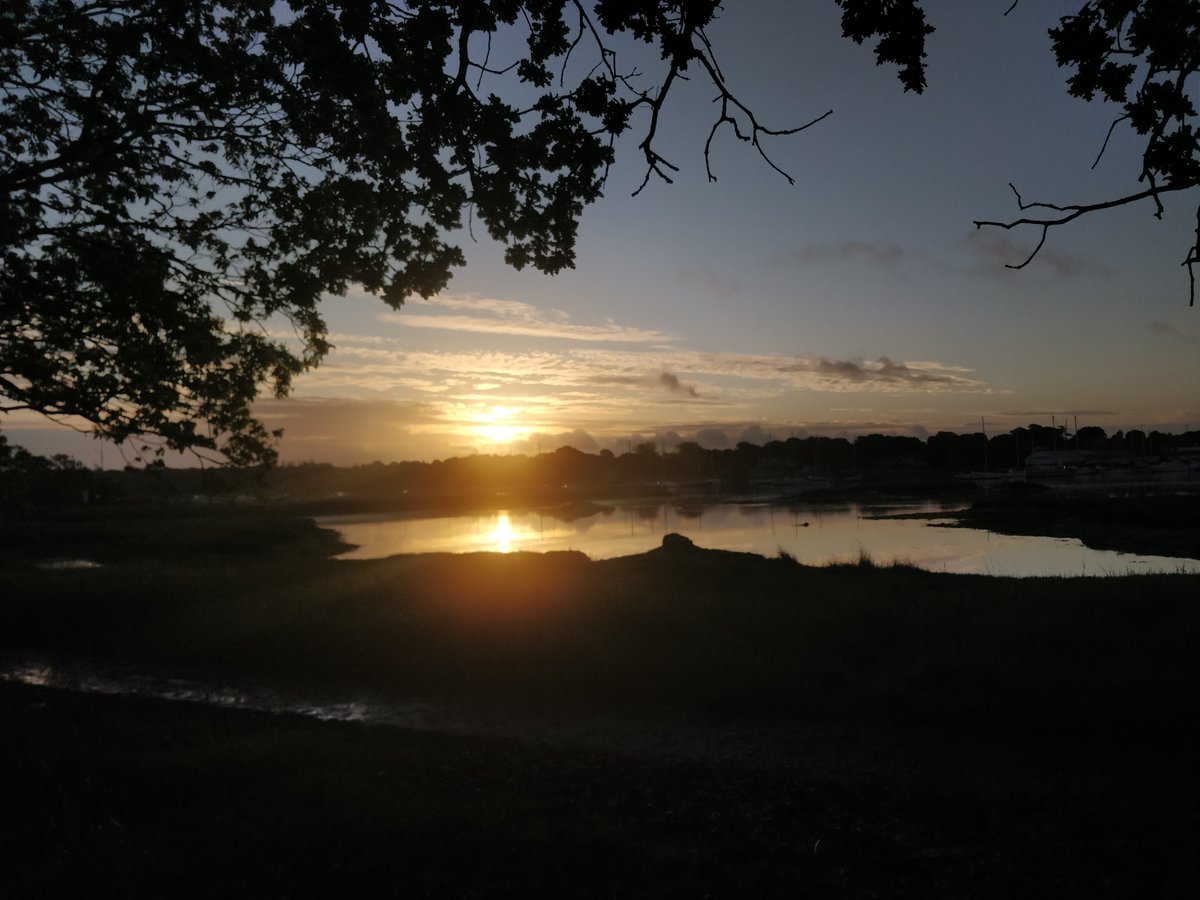 Tim Shaw tweet media