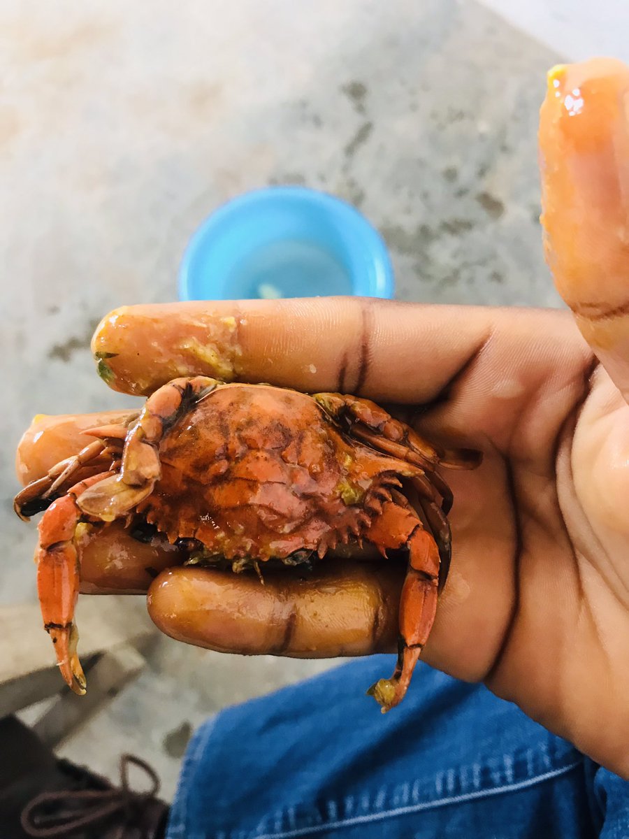 Do you enjoy eating crabs…? 🦀 Today is my first time actually seeing, eating and touching a crab 🦀 please don’t say 'Ei' 🤭. It was weird to me but I tried to eat it though, I love exploring new things 😄😂.