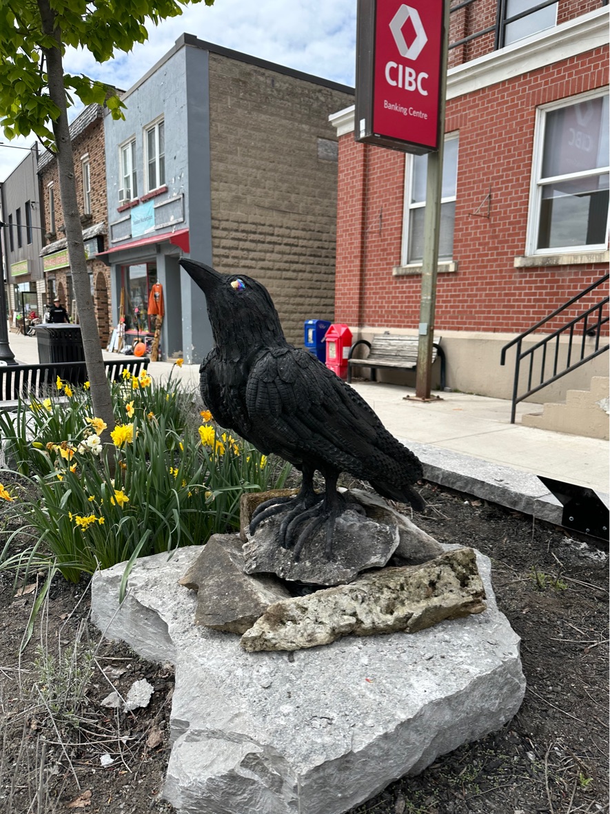 Raven jamescameron_smith One of four recently installed sculptures in the inaugural downtown Sculpture exhibition from Fenelon Art Committee in partnership with the City of Kawartha Lakes. Access more information on each artist and installation fenelonarts.com