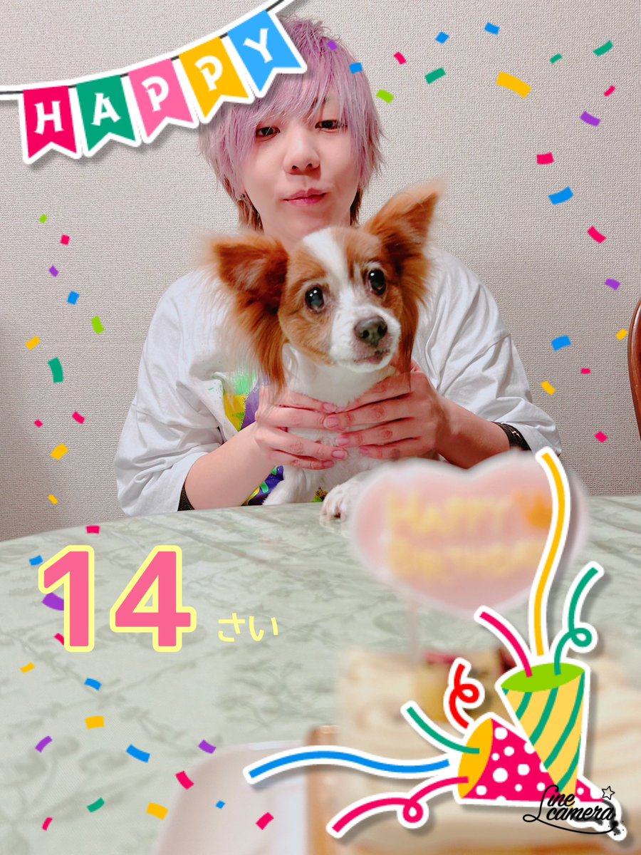 ♡ラム様ご確認♡ 🌴 🤎 🌺 🍪 海とかプールとか 夏らしい予定1つもないのに買っ