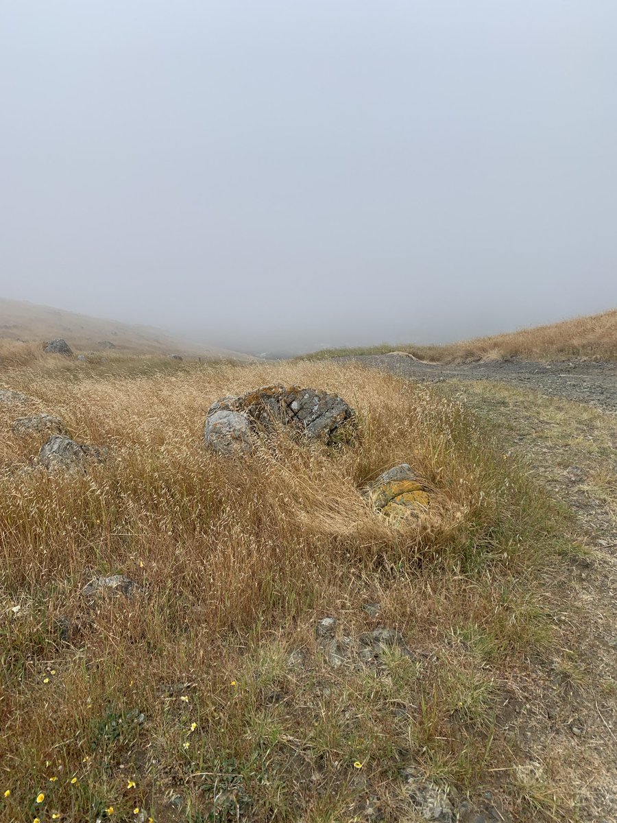 Only view on this morning’s hike was of the fog