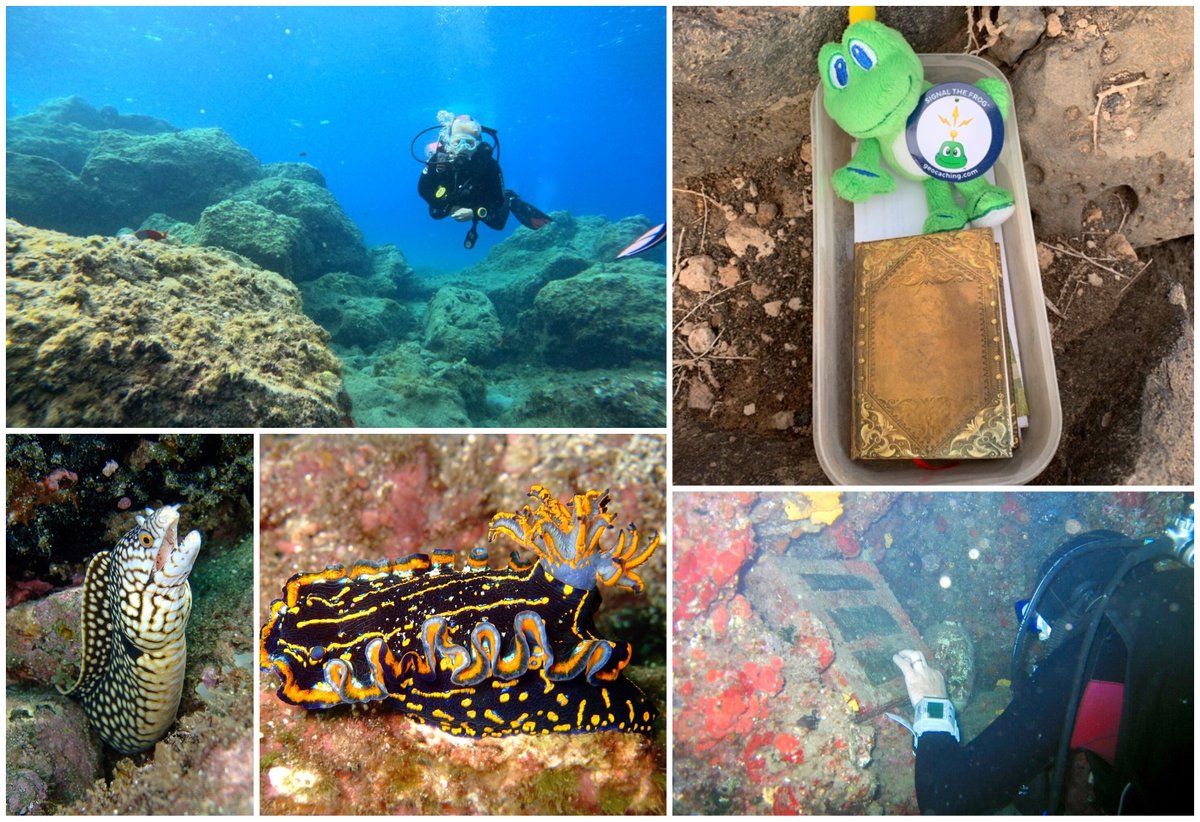 💚 Geocache of the Week 💚 Just keep swimming, swimming, swimming! Raise a fin if you’re up for a deep-sea adventure to earn a smiley! 🐠🐙🐟🦀 🤿 bit.ly/3wBwAS8 🤿 Join us as we dive into this #Geocache of the Week, Playa Chica (Diving Cache) GC2E1FN. #geocaching