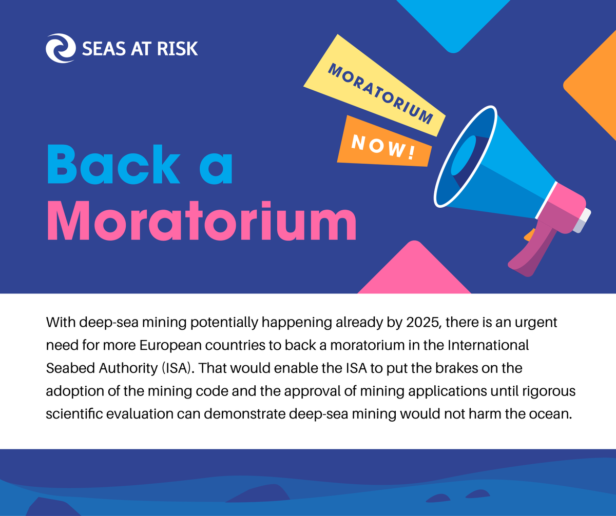 On #DeepDay @SeasAtRisk published a 🆕 report showing the position of 22 European 🇪🇺 countries on #DeepSeaMining. 🔍 Just 3 years ago, not a single country in Europe defended a moratorium, precautionary pause, or ban. 🌊 Time for more to #DefendTheDeep. seas-at-risk.org/publications/t…