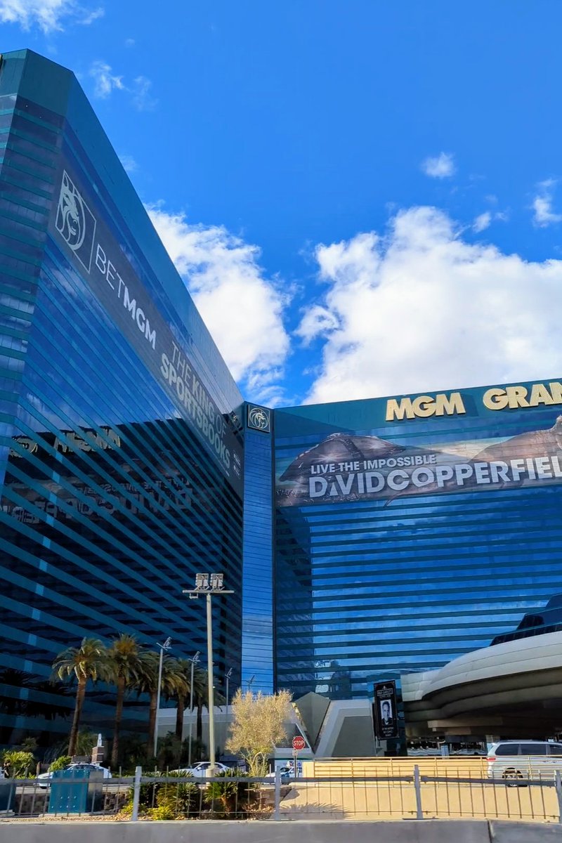 Las Vegas Locally 🌴 tweet media