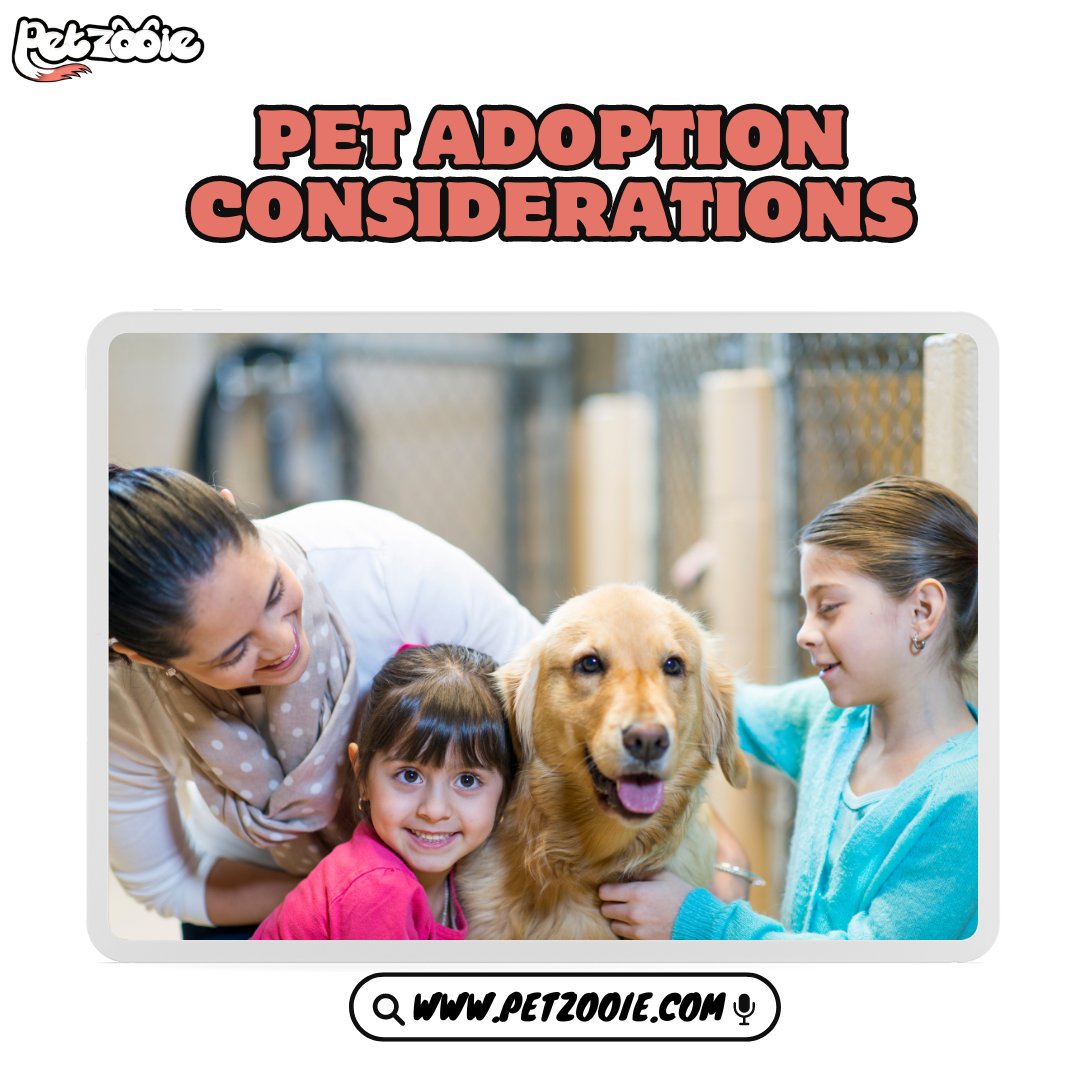 Learn More about Pets From here:
petzooie.com

#PetRecipes #FoodiePets #puppiesofinstagram #golden #puppies #goldenretrievers #goldenpuppy #animals #dogsofinstagram #puppygram #cutest_goldens #PetFitness #ActivePets #cutestgoldens #goldenlove #puppylove #puppylife