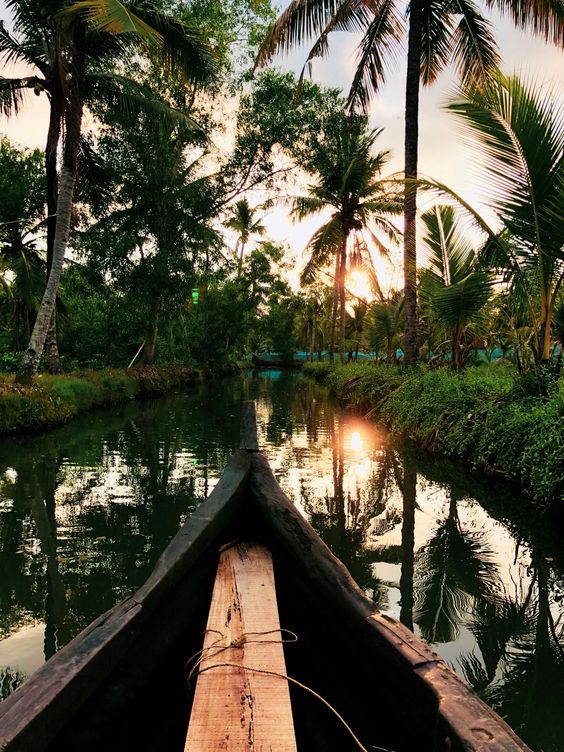 From the snow-capped peaks of the Himalayas to the pristine beaches of Goa and Kerala, India boasts a breathtaking array of natural landscapes. 

#IncredibleIndia #IndiaTravel #GrandCenturyCruises