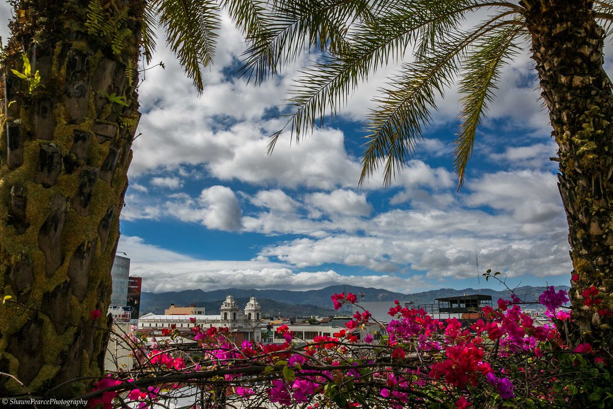 #SanJose #CostaRica #capital #city #PictureOfTheDay #photographer #photography #picoftheday #photooftheday #travel #clouds #sky #flowers #travelphotography @Visit_CostaRica @NatGeoTravel @GuardianTravel @BBC_Travel @TravelMagazine #canonphotography #TravelAndTourWorld