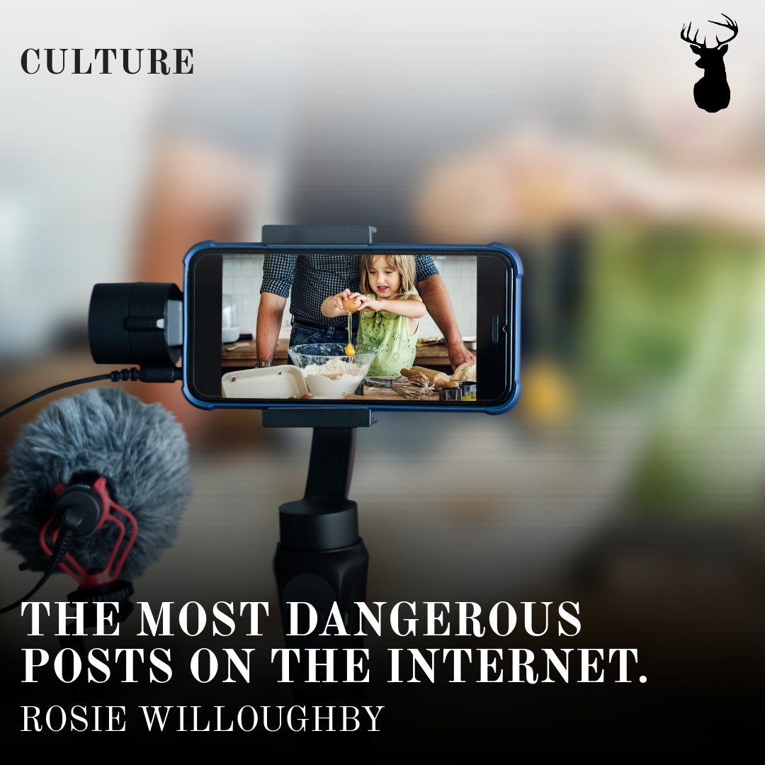 Whether you love them or hate them, #familyvloggers seem to be here to stay. And Rosie hates them. Find out why by clicking here: thestagsurrey.co.uk/the-most-dange… 🎥
#vlogging #familyvlogging #vloggers #family #culture #opinion  #thestag #uniofsurrey #surreyunion #studentjounralism