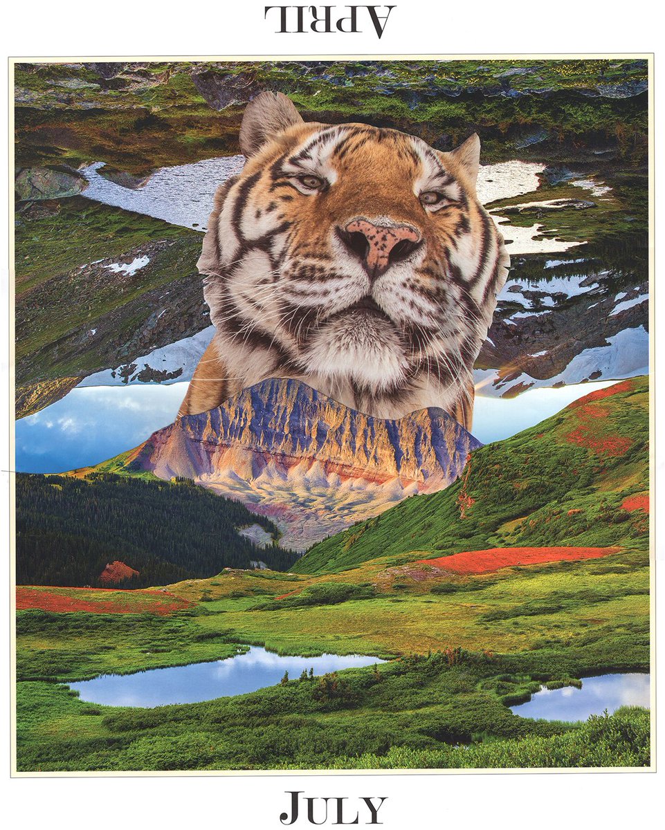 A Tiger For All Seasons

Go see Mobo 🐅 at The Wild @animalsanctuary! Just a short drive from Denver

14 x 17.5'

#collage #wildanimalsanctuary #tigerart #colorado #tiger