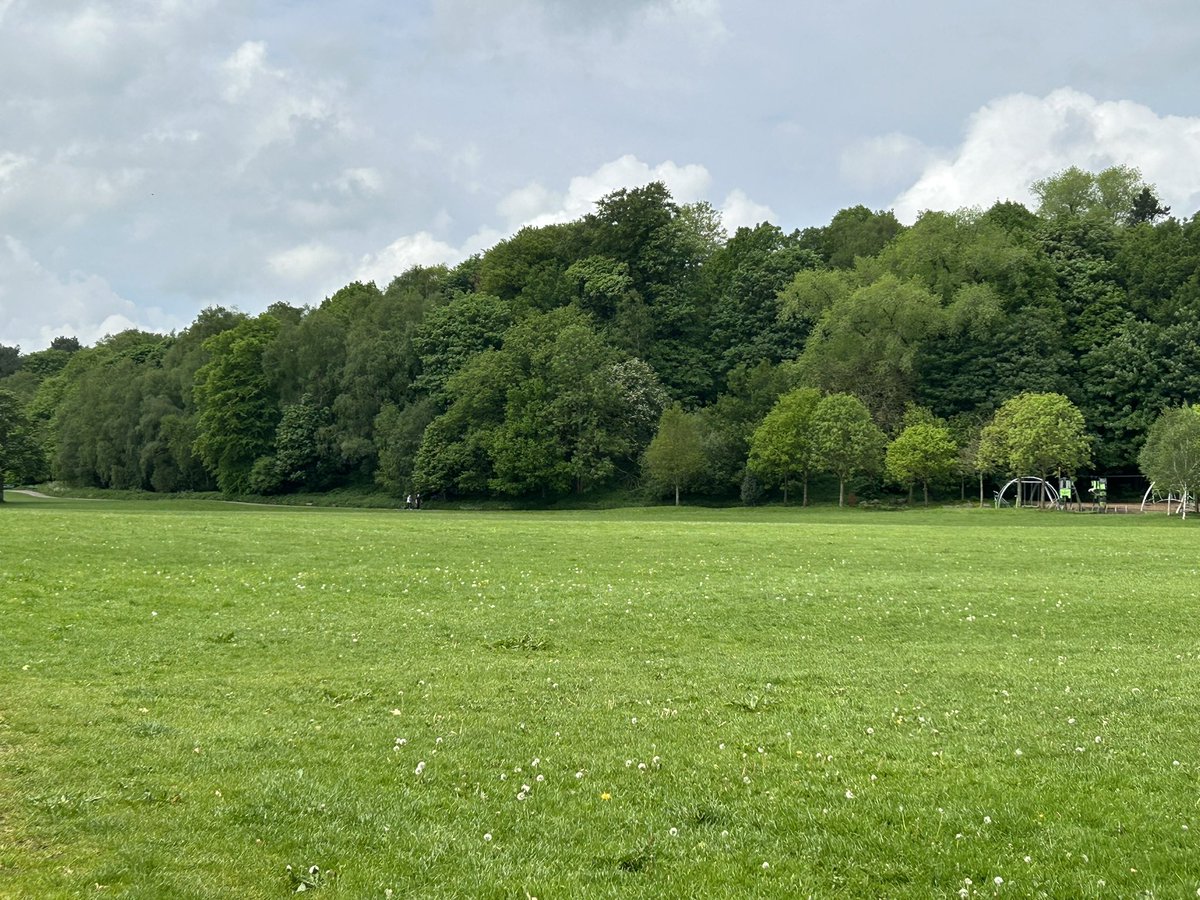 This is a #Field 
In the background are #AncientTrees
This is an open space you can run round in + play. 
The Year is 2024
Date 15:3:24
Iv just been for a walk here. Fresh Air, Birds Singing. 
This is for those who will never see #Fields of Green where they live in the future.