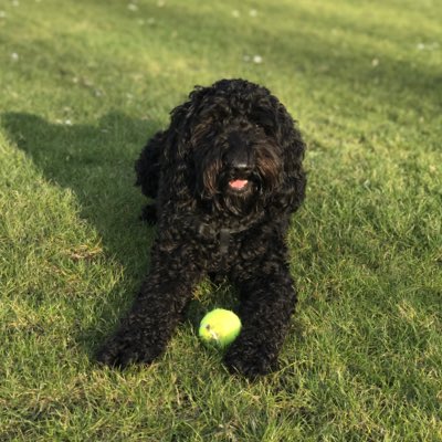 ALLINDABAND's tweet photo. #nieuweprofielfoto https://t.co/FuimQ8COJK