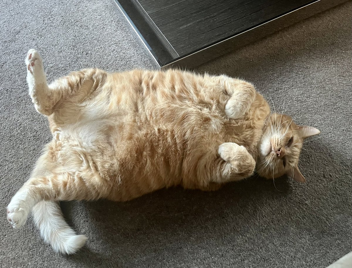 A year ago today living  in slaveas memories