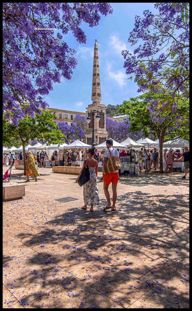 La plaza de la Merced 💜
Foto @jcsanchezcanete 
#malagaconacento #vivirenmlg #malaga