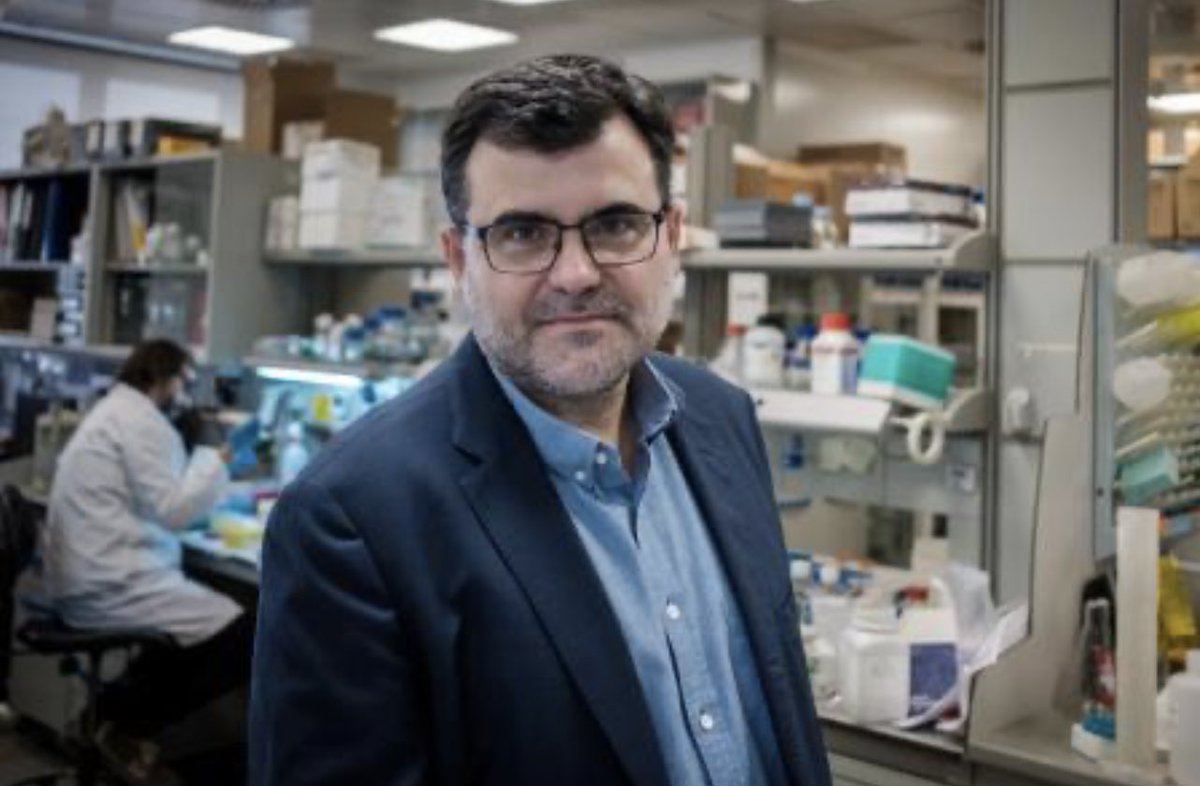 El científico del Instituto de Investigación Biomédica de Barcelona, Eduard Battle, y su equipo han hallado el primer anticuerpo que previene la metástasis y la propagación de tumores.