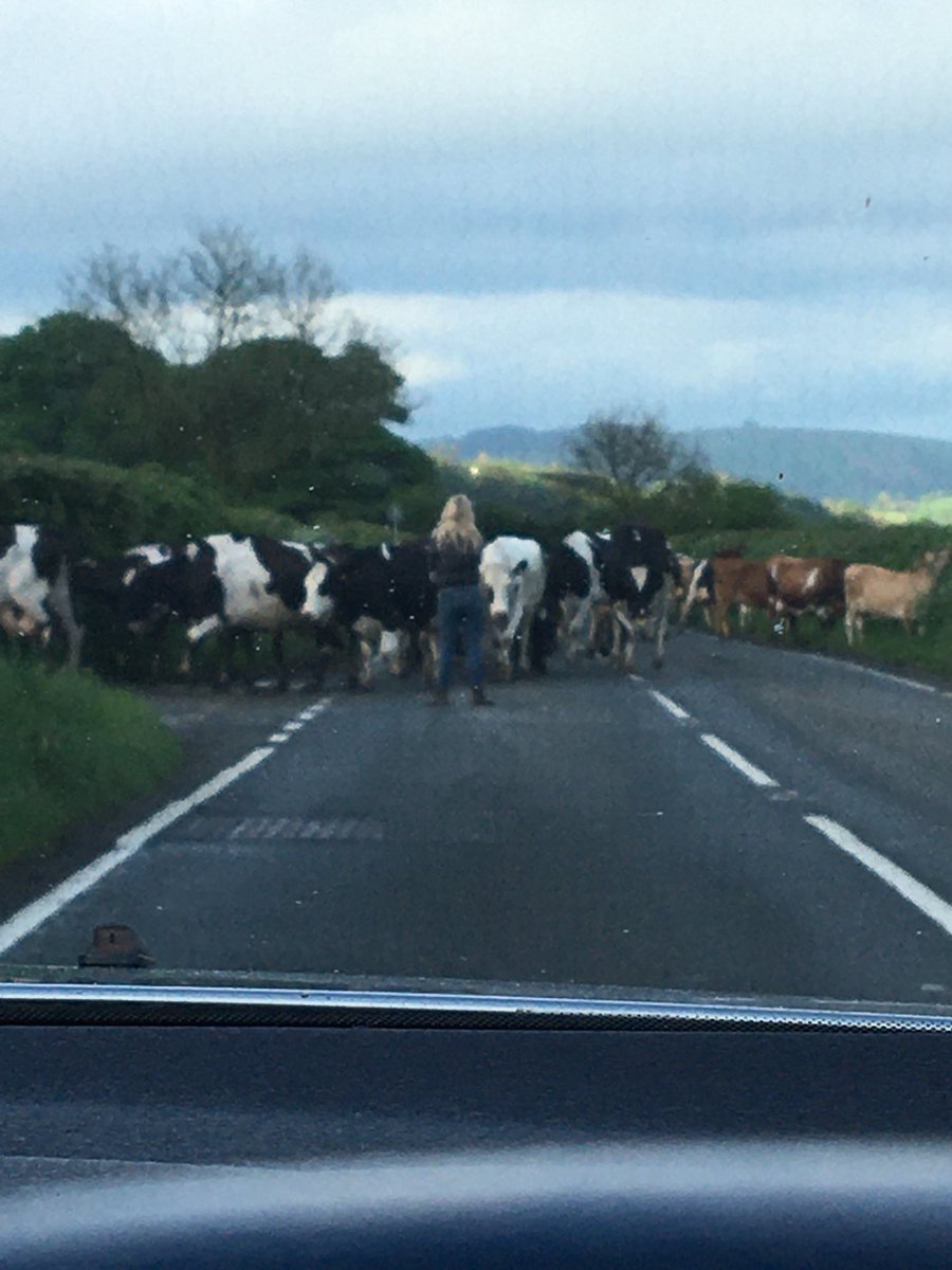 Total gridlocked on the to Llangadog for work that morning!