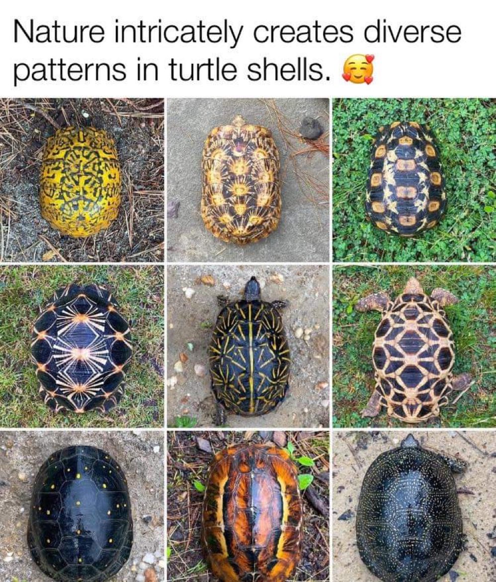 Science girl (@gunsnrosesgirl3) on Twitter photo 