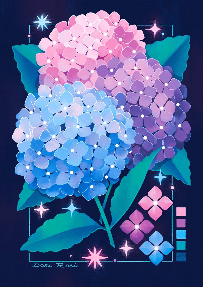 Hydrangeas 💙
