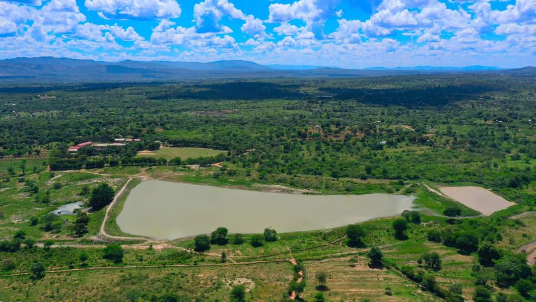 Captain Green Ke 👨‍✈️🌳🌳🇰🇪 tweet media