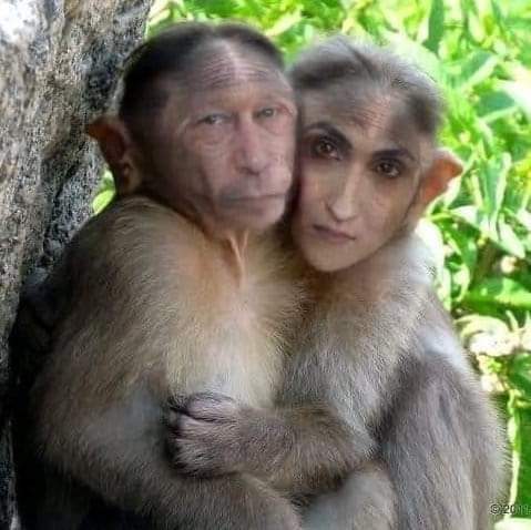 بوجھو تو جانیں