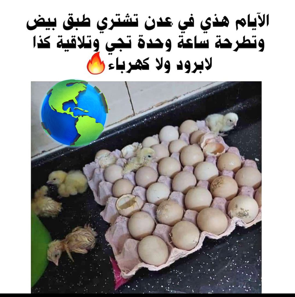 Gameel (@gameel1850133) on Twitter photo 