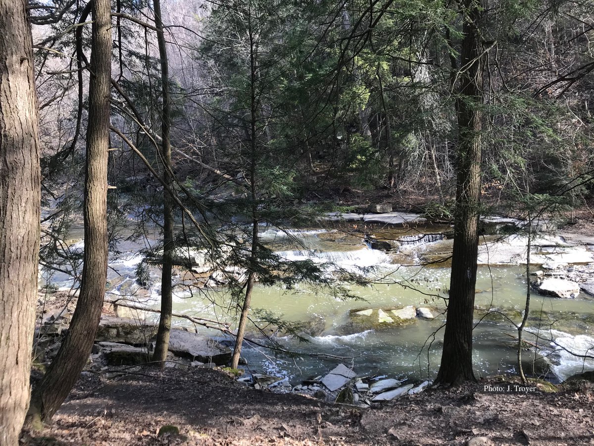 Niagara Bruce Trail tweet media