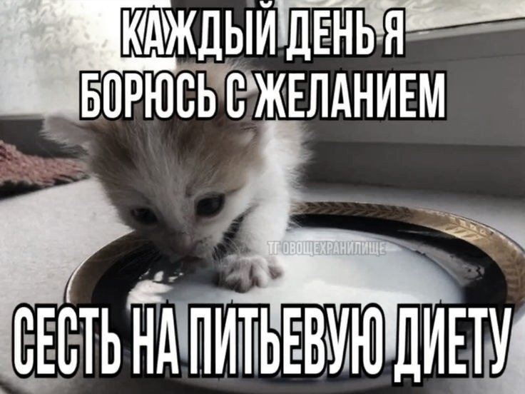 ⊹tw #рпп⊹