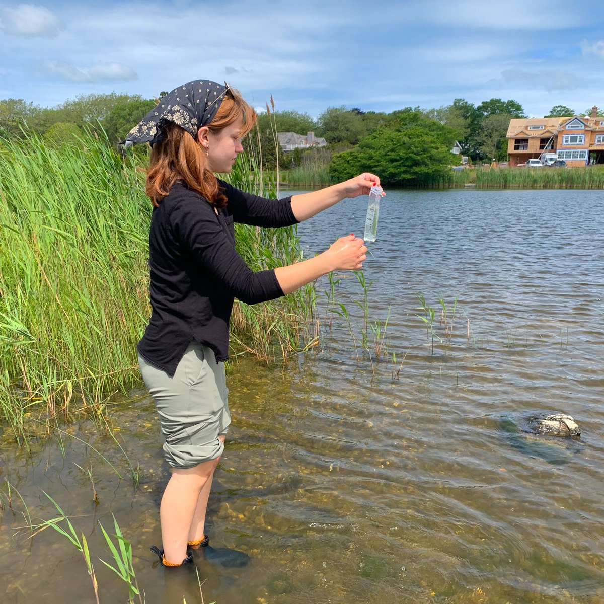 Surfrider's Eastern Long Island chapter has a robust Blue Water Task Force program, monitoring over 80 sampling sites, and has a flourishing Ocean Friendly Gardens program! Check out the chapter's incredible work to protect clean water here: hubs.ly/Q02xgLbX0