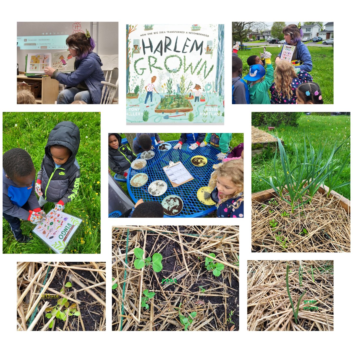 Thank you again Miss Jessie for another awesome workshop! She read us a story,  we played nature bingo, assessed different types of soil & checked on our seeds/sprouts. @LGrabetz @StBrAndreOCSB @ocsbEco @CanadianOrganic