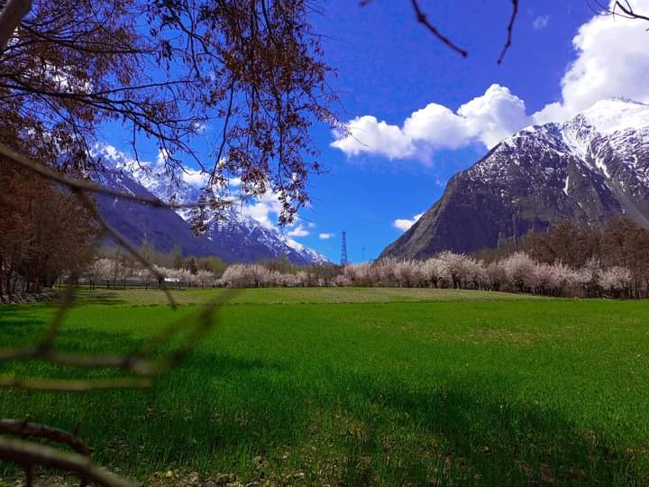 Mastuj- Upper Chitral 🇵🇰 #Pakistan