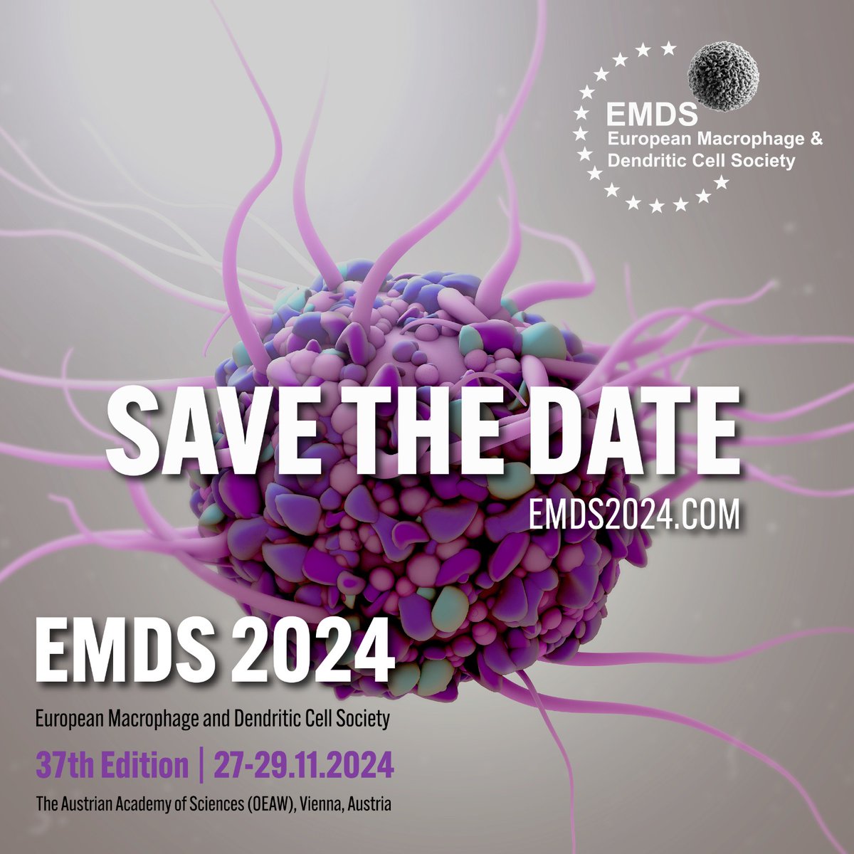 IdoAmitLab (@idoamitlab) on Twitter photo Macrophage and DC enthusiasts, you don't want to miss this extraordinary meeting co-organized with <a href="/SylviaKnapp_Lab/">Sylvia Knapp - Lab</a>, <a href="/FGinhoux/">@realFlorentGinhoux</a> and <a href="/deVisserKarin/">Karin de Visser</a> Macrophage and DC enthusiasts, you don't want to miss this extraordinary meeting co-organized with <a href="/SylviaKnapp_Lab/">Sylvia Knapp - Lab</a>, <a href="/FGinhoux/">@realFlorentGinhoux</a> and <a href="/deVisserKarin/">Karin de Visser</a>