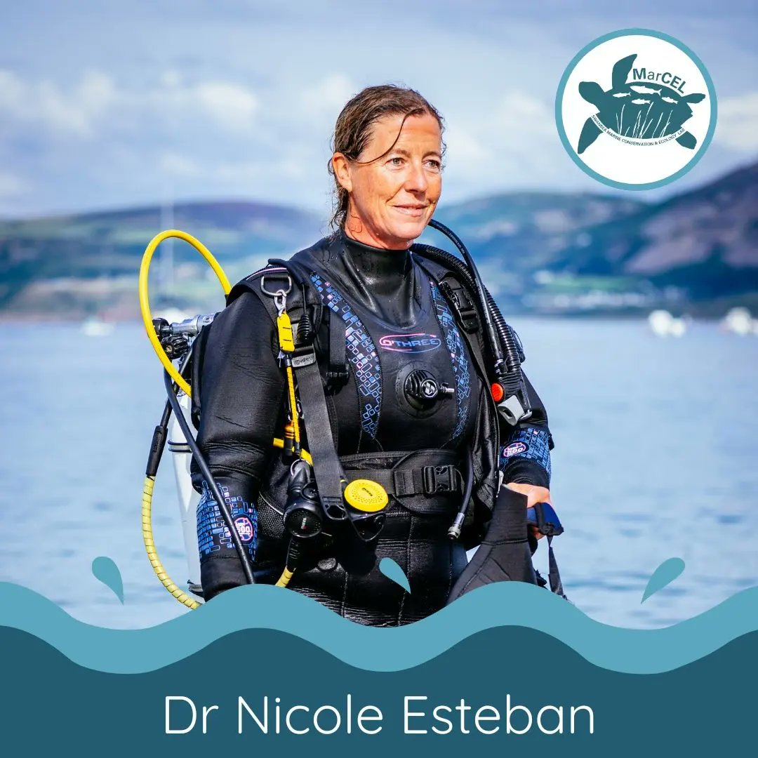 🌊 MEET THE TEAM 🌊 Dr. Nicole Esteban, Assoc. Prof. in Marine Biology 🌱 Nicole is a marine ecologist at @SwanseaUni passionate about protecting species and their habitats e.g. sea turtles, climate change impacts, fish production in coastal habitats 🐟tinyurl.com/2ufm97ca