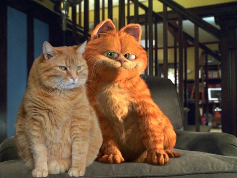 First token deployed about real-life Garfield

Join in our telegram: t.me/ChonklordFerdi…

We were elected by MEOWED:  instagram.com/p/CQVMi64hhap/