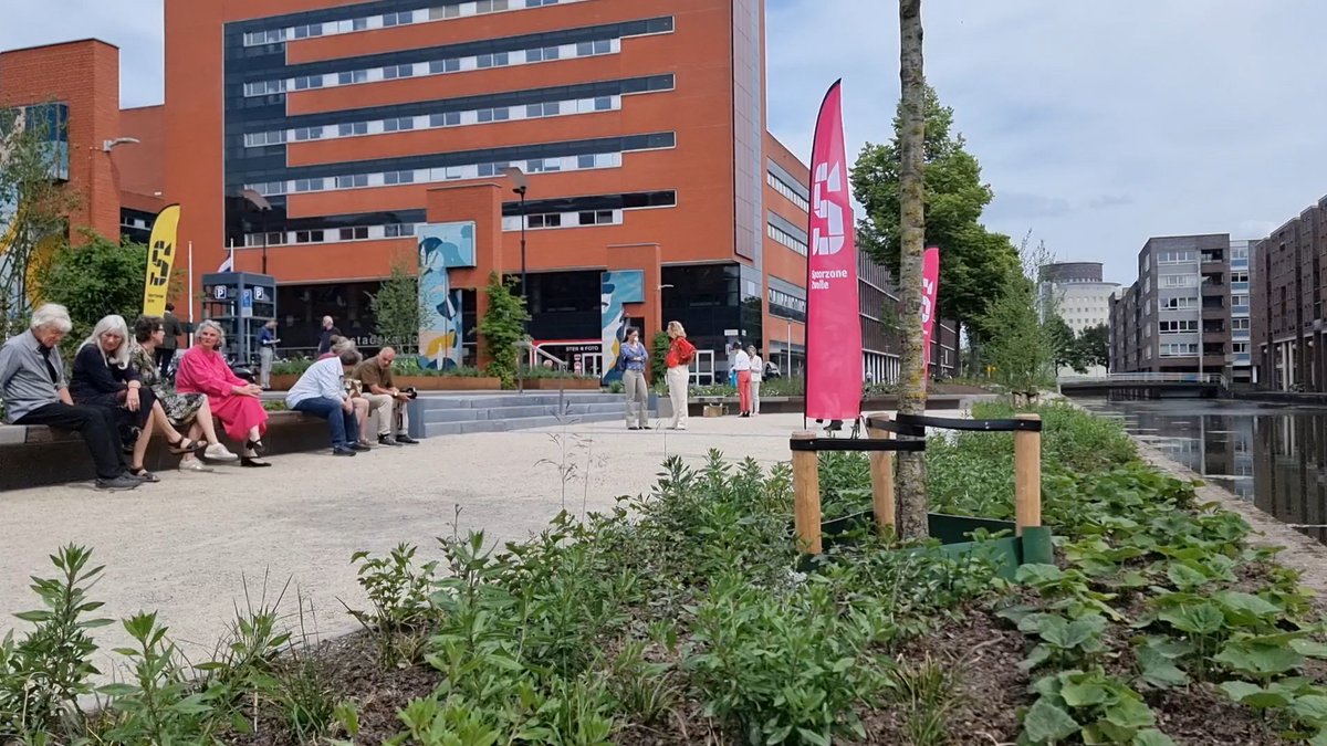 RTV Focus Zwolle tweet media