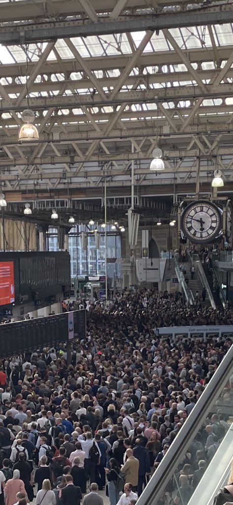 Notaceleriac tweet media