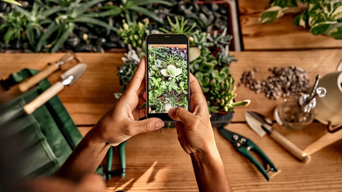 From identifying mystery plants to figuring out what to plant and when, gardening apps can help make your gardening easier. These are the best free apps I've found. Link: lifehacker.com/home/the-best-…