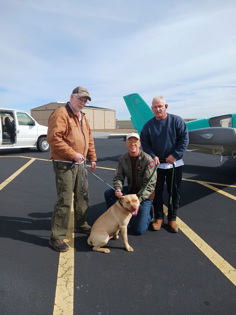 Pilot Steve's recent freedom flight helped 4 siblings (Chloe, Trudy, Evie, & Molly)& a pit mix named Rubble get from NC to Puppy Paws Rescue in MD. The puppies were from an 'unexpected delivery' & Molly came w/a note from a little girl who asked to stay in contact w/the new owner