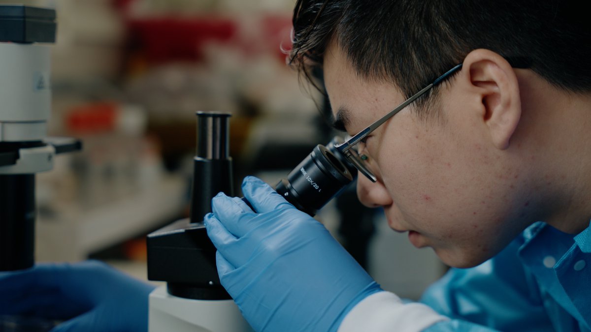 #SFSU received $14 million from the @Genentech Foundation to continue training the next generation of life science leaders. With these funds, more students will be career-ready when entering STEM fields. bit.ly/4bCWG64