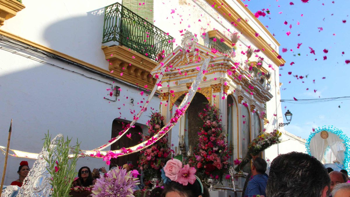 En #LasSiete seguimos nuestro particular camino hacia #ElRocio24 🕊️🌿 📹 Hoy os traemos las mejores imágenes de las salidas de @rociodetriana @HRocio_Macarena @HdadRociodeSev y @Hrociodelcerro. Además estaremos EN DIRECTO desde el #VadodeQuema, #Coria y #Umbrete ⌚ 19h 📺 7TV