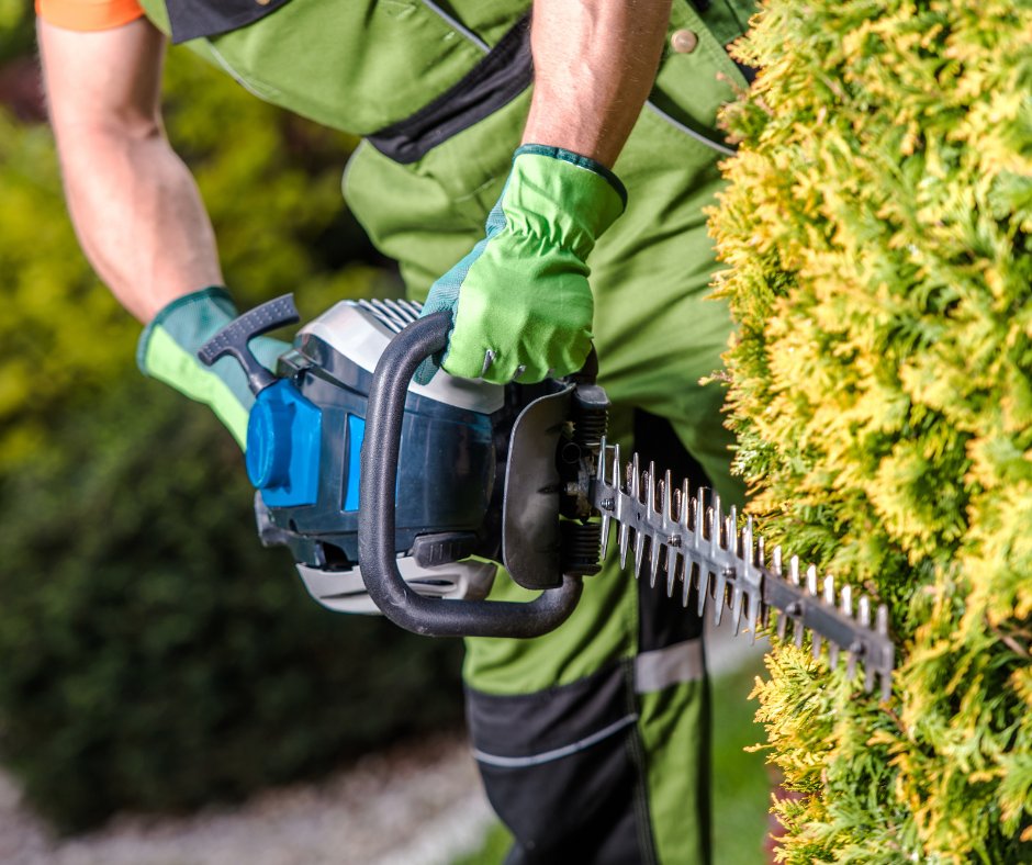 BrothersTree_'s tweet photo. From shaping and trimming to promoting healthy growth, we're here for you and your trees! Call us today. 

#BrothersTreeService #TreeTrimming #TreeRemoval #Pruning #Removal #Tree #YardHack #Landscape #Landscaping https://t.co/ZfsWcmjntx