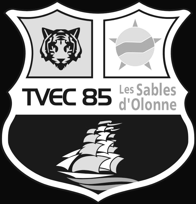🚨 Le projet de reprise du TVEC Les Sables a été abandonné. Croulant sous les dettes, le club Sablais devrait disparaître d'ici peu. 😔

(@OuestFrance)