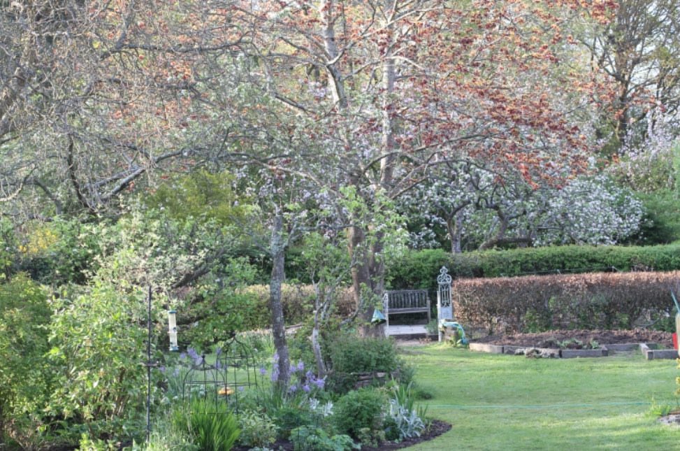 Don’t miss these two fantastic gardens opening for the #Nationalgardenscheme 🌸#Flowers #Gardening