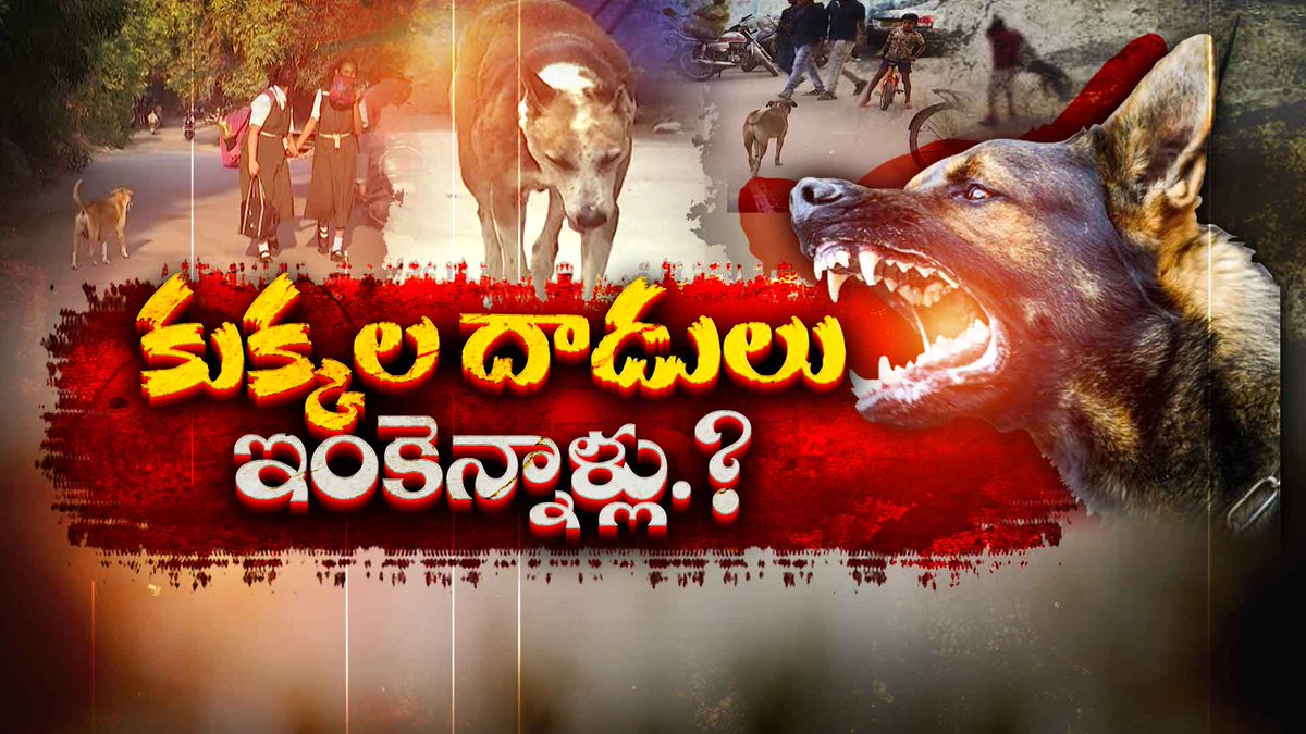 Deadly Street Dog Attacks Cases Raised | How To Protect Public From Dog Bites? || Idi Sangathi youtu.be/8hflzm9EKtw