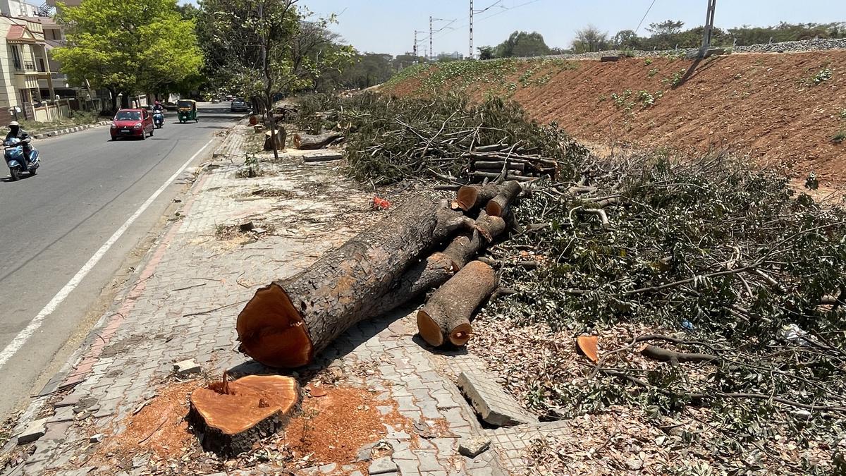 🚨 32,572 trees are to be axed for the Bengaluru suburban rail project in Bengaluru City. (K-RIDE)