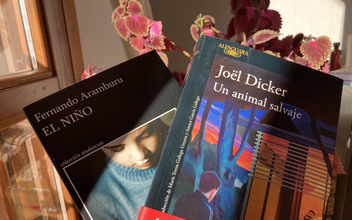 Sol y 📚. #planazo