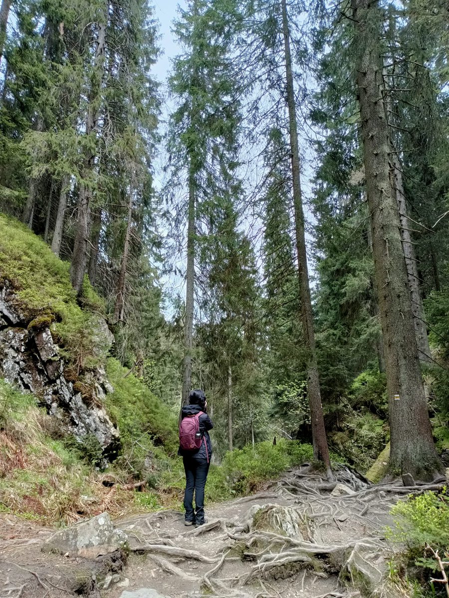 Herminia Alonso tweet media