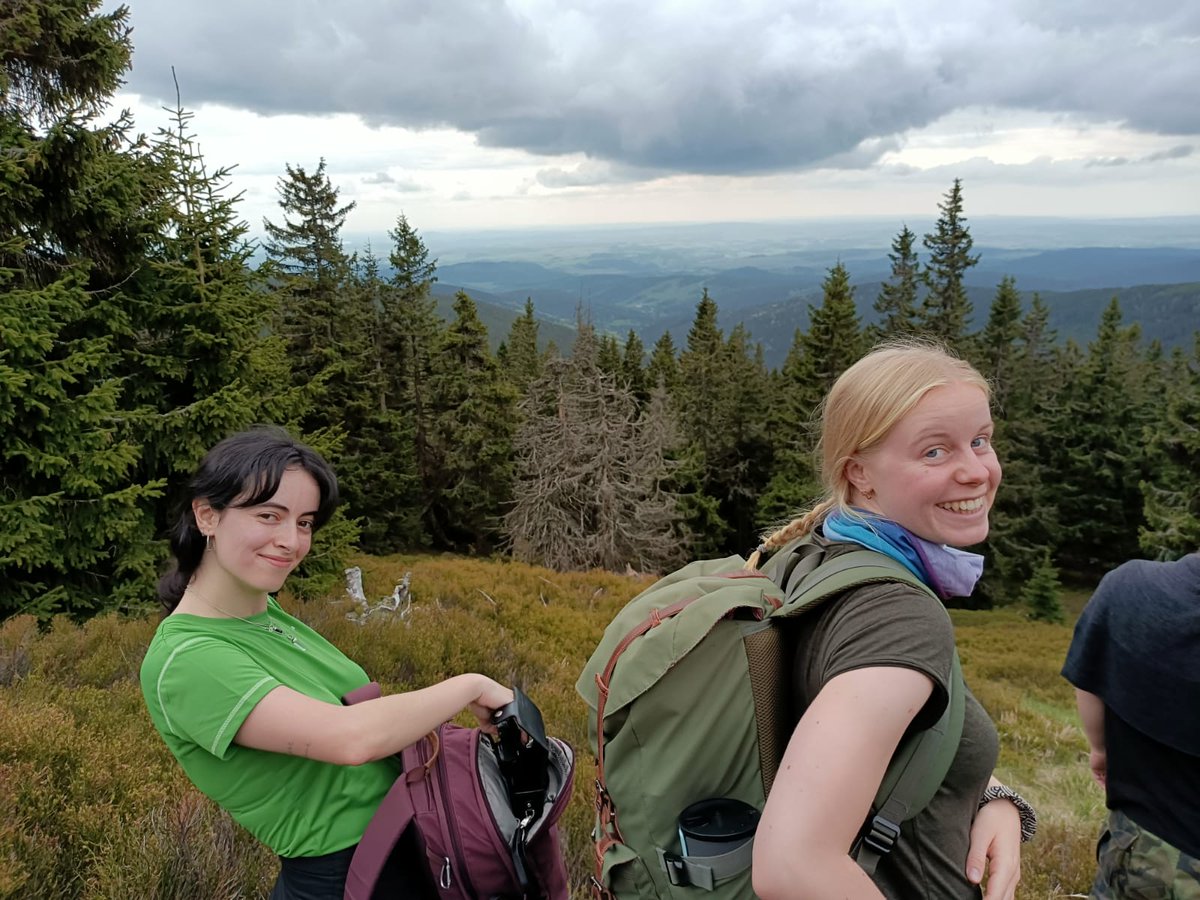 Herminia Alonso tweet media