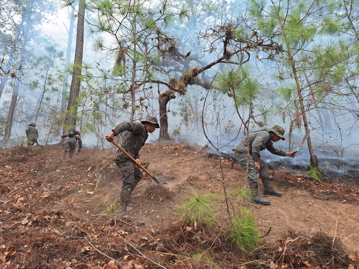 Protegiendo nuestros bosques con valentía. 🫡🇬🇹🌳

Séptima Brigada de Infantería del #EjércitoGT, efectuó acciones de supresión de incendio forestal, en la aldea Pacalaj, municipio de Salamá, #BajaVerapaz.