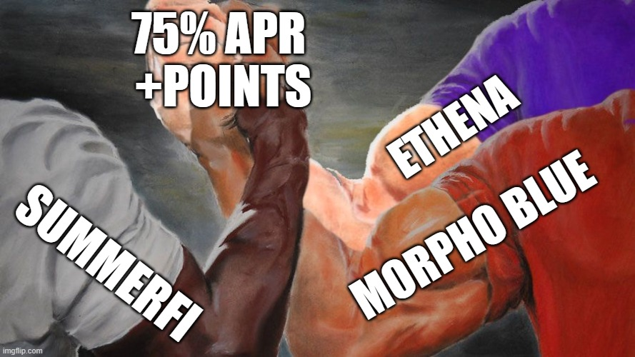 Are we just going to sit here and ignore the fact that <a href="/summerfinance_/">Summer.fi ☀</a> has 40-75% actual yield on stables and you farm <a href="/ethena_labs/">Ethena Labs</a> points?

h/t <a href="/MorphoLabs/">Morpho 🦋</a> for making it possible